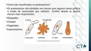 •Como são classificados os protozoários?
•Os protozoários são divididos em classes que seguem como critério
o modo de locomoção que utilizam. Confira abaixo as quatro
classes mais importantes.
•Rizópodos
•Ciliados
•Flagelados
•Esporozoários
 