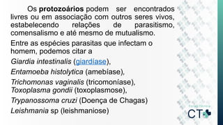 Os protozoários podem ser encontrados
livres ou em associação com outros seres vivos,
estabelecendo relações de parasitismo,
comensalismo e até mesmo de mutualismo.
Entre as espécies parasitas que infectam o
homem, podemos citar a
Giardia intestinalis (giardíase),
Entamoeba histolytica (amebíase),
Trichomonas vaginalis (tricomoníase),
Toxoplasma gondii (toxoplasmose),
Trypanossoma cruzi (Doença de Chagas)
Leishmania sp (leishmaniose)
 