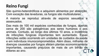 Reino Fungi
São quimio-heterotróficos e adquirem alimentos por absorção.
Com exceção das leveduras, os fungos são multicelulares.
A maioria se reproduz através de esporos sexuados e
assexuados.
Das mais de 100 mil espécies conhecidas de fungos, apenas
cerca de 200 são patogênicas aos seres humanos e aos
animais. Contudo, ao longo dos últimos 10 anos, a incidência
de infecções fúngicas importantes tem aumentado. Essas
infecções estão ocorrendo em unidades de cuidados da saúde
e em indivíduos imunocomprometidos. Além disso, milhares de
doenças causadas por fungos afetam plantas economicamente
importantes, causando prejuízos de mais de um bilhão de
dólares ao ano.
 