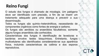 Reino Fungi
O estudo dos fungos é chamado de micologia. Um patógeno
deve ser identificado com precisão, a fim de se inserir um
tratamento adequado para uma doença e prevenir a sua
disseminação.
Todos os fungos são quimio--heterotróficos, necessitando de
componentes orgânicos como fontes de energia e carbono.
Os fungos são aeróbios ou anaeróbios facultativos; somente
alguns fungos anaeróbios são conhecidos.
Características dos fungos A identificação de leveduras e
bactérias envolve testes bioquímicos. Entretanto, fungos
multicelulares são identificados considerando-se sua aparência
física, incluindo características da colônia e dos esporos
reprodutivos.
 
