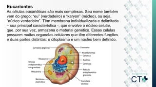 Eucariontes
As células eucarióticas são mais complexas. Seu nome também
vem do grego: “eu” (verdadeiro) e “karyon” (núcleo), ou seja,
“núcleo verdadeiro”. Têm membrana individualizada e delimitada
– sua principal característica -, que envolve o núcleo celular,
que, por sua vez, armazena o material genético. Essas células
possuem muitas organelas celulares que têm diferentes funções
e duas partes distintas: o citoplasma e um núcleo bem definido.
 