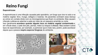 Reino Fungi
Esporotricose
A esporotricose é uma infecção causada pelo sporothrix, um fungo que vive no solo e na
matéria vegetal, feno, musgo, esfagno e roseiras. Os pacientes contraem essa doença
ao entrar em contato direto com os microrganismos que ficam no ambiente. Eles causam
infecção cutânea ao adentrar a pele por meio de um pequeno arranhão ou corte.
Isso geralmente acontece quando alguém toca na matéria vegetal contaminada e,
em virtude disso, a pele dos pés, pernas, mãos ou braços é afetada. Mas existem outros
tipos de esporotricose, por exemplo, a pulmonar que é mais rara, porém, pode acontecer
depois que a pessoa respira esporos fúngicos do ambiente.
 
