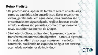 Reino Protista
• Os protozoários, apesar de também serem unicelulares,
como as bactérias, são eucarióticos. Esses organismos
vivem, geralmente, em água-doce, mas também são
encontrados em água salgada, regiões lodosas e solo
úmido; e alguns são parasitas, como o Trypanosoma
cruzi, causador da doença de Chagas.
• São heterotróficos, utilizando o fagossomo - que se
transforma em um vacúolo digestivo - para sua digestão
intracelular. Além disso, alguns possuem vacúolos
contráteis, auxiliando na expulsão de água em excesso,
acumulada no interior do indivíduo.
 