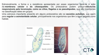 Estruturalmente, a forma e a resistência apresentada por esses organismos deve-se à ação
da membrana celular e do citoesqueleto. Os protozoários podem possuir estruturas
responsáveis pela locomoção, como os cílios, flagelos e os pseudópodes, que são importantes
na classificação deles em grupos.
Uma estrutura importante presente em alguns protozoários são os vacúolos pulsáteis, que agem
para regular a osmolaridade celular, principalmente nos organismos que têm a água salgada como
habitat.
 