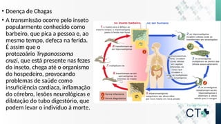 • Doença de Chagas
• A transmissão ocorre pelo inseto
popularmente conhecido como
barbeiro, que pica a pessoa e, ao
mesmo tempo, defeca na ferida.
É assim que o
protozoário Trypanossoma
cruzi, que está presente nas fezes
do inseto, chega até o organismo
do hospedeiro, provocando
problemas de saúde como
insuficiência cardíaca, inflamação
do cérebro, lesões neurológicas e
dilatação do tubo digestório, que
podem levar o indivíduo à morte.
 