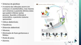 • Sintomas de giardíase
• A maioria das infecções ocorre em
crianças e é assintomática, mas mesmo
sem sintomas o paciente elimina cistos
que podem infectar outras
pessoas. Quando a infecção é
sintomática, o paciente costuma
apresentar:
• Cólicas abdominais;
• Flatulência;
• Distensão abdominal;
• Náuseas;
• Eliminação de fezes gordurosas e
fétidas;
• Perda de peso;
• Diarreia.
 
