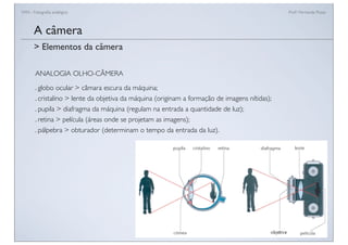FAN - Fotograﬁa analógica Prof.a Fernanda Pozza
A câmera
> Elementos da câmera
ANALOGIA OLHO-CÂMERA
. globo ocular > câmara escura da máquina;
. cristalino > lente da objetiva da máquina (originam a formação de imagens nítidas);
. pupila > diafragma da máquina (regulam na entrada a quantidade de luz);
. retina > película (áreas onde se projetam as imagens);
. pálpebra > obturador (determinam o tempo da entrada da luz).
 