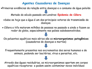 Agentes Causadores de Doenças
Primeiras evidências da relação entre doenças e o consumo de água poluída
Metade do século passado em Londres: Epidemia de Cólera
Sabe-se hoje que a água é um dos principais vetores de transmissão de
doenças.
 Cólera e tifo mataram milhões de pessoas no passado e ainda o fazem ao
redor do globo, especialmente nos países subdesenvolvidos.
Os poluentes aquáticos mais sérios são os microorganismos patogênicos
(causadores de doenças e mortes)
Frequentemente presentes nos excrementos dos seres humanos e de
animais, podendo ser bactérias, vírus e parasitas, etc.
Através das águas residuárias, os microorganismos aportam em corpos
aquáticos receptores e podem assim contaminar novos indivíduos
 