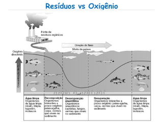 Resíduos vs Oxigênio
 