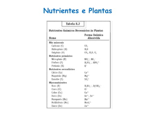 Nutrientes e Plantas
 