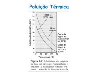 Poluição Térmica
 