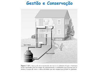 Gestão e Conservação
 