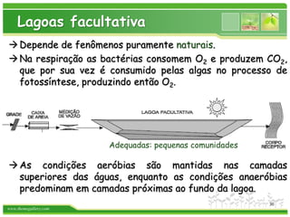 www.themegallery.com
Lagoas facultativa
Depende de fenômenos puramente naturais.
Na respiração as bactérias consomem O2 e produzem CO2,
que por sua vez é consumido pelas algas no processo de
fotossíntese, produzindo então O2.
As condições aeróbias são mantidas nas camadas
superiores das águas, enquanto as condições anaeróbias
predominam em camadas próximas ao fundo da lagoa.
Adequadas: pequenas comunidades
30
 