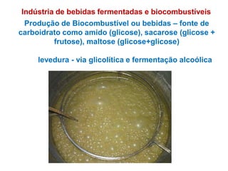 Produção de Biocombustível ou bebidas – fonte de
carboidrato como amido (glicose), sacarose (glicose +
frutose), maltose (glicose+glicose)
levedura - via glicolítica e fermentação alcoólica
Indústria de bebidas fermentadas e biocombustíveis
 