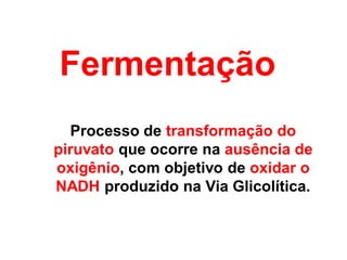 Fermentação
Processo de transformação do
piruvato que ocorre na ausência de
oxigênio, com objetivo de oxidar o
NADH produzido na Via Glicolítica.
 