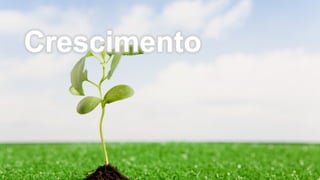 Crescimento
 