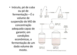 • Inóculo, pé de cuba
ou pé de
fermentação – É o
volume de
suspensão de MO de
concentração
adequada capaz de
garantir, em
condições
econômicas, a
fermentação de um
dado volume de
mosto.
 