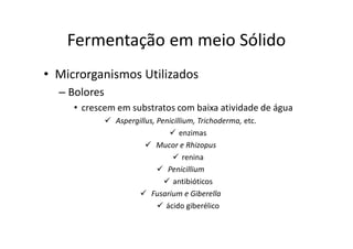 FERMENTAÇÃO - DORNAS
Fermentação em meio Sólido
• Microrganismos Utilizados
– Bolores
• crescem em substratos com baixa atividade de água
Aspergillus, Penicillium, Trichoderma, etc.
enzimas
Mucor e Rhizopus
renina
Penicillium
antibióticos
Fusarium e Giberella
ácido giberélico
 