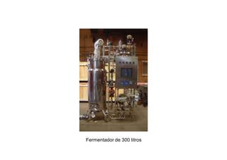 Fermentador de 300 litros
 