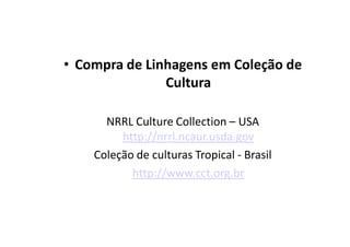 • Compra de Linhagens em Coleção de
Cultura
NRRL Culture Collection – USA
http://nrrl.ncaur.usda.gov
Coleção de culturas Tropical - Brasil
http://www.cct.org.br
 
