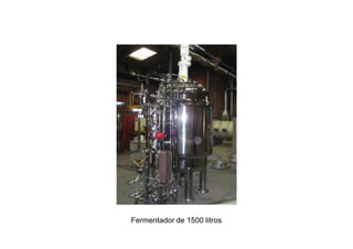Fermentador de 1500 litros
 