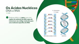 DNA e RNA
Podemos definir um gene como uma
região da molécula de DNA capaz de
transcrever seu código molecular para
uma molécula específica de RNA
 