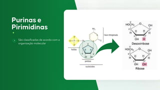 São classificadas de acordo com a
organização molecular
 