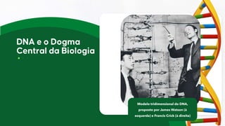 Modelo tridimensional do DNA,
proposto por James Watson (à
esquerda) e Francis Crick (à direita)
 