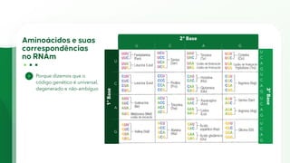 U C A G
U
C
A
G
2ª Base
1ª
Base
U
C
A
G
U
C
A
G
U
C
A
G
U
C
A
G
3ª
Base
Porque dizemos que o
código genético é universal,
degenerado e não-ambíguo
 