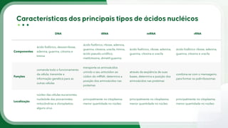 DNA tRNA mRNA rRNA
Componentes
ácido fosfórico, desoxirribose,
adenina, guanina, citosina e
timina
ácido fosfórico, ribose, adenina,
guanina, citosina, uracila, timina,
ácido pseudo-uridílico,
metilcitosina, dimetil-guanina
ácido fosfórico, ribose, adenina,
guanina, citosina e uracila
ácido fosfórico ribose, adenina,
guanina, citosina e uracila
Funções
comanda todo o funcionamento
da célula; transmite a
informação genética para as
outras células
transporta os aminoácidos
unindo o seu anticódon ao
códon do mRNA: determina a
posição dos aminoácidos nas
proteínas
através da seqüência de suas
bases, determina a posição dos
aminoácidos nas proteínas
combina-se com o mensageiro,
para formar os polirribosomas
Localização
núcleo das células eucariontes;
nucleóide das procariontes;
mitocôndrias e cloroplastos;
alguns vírus
principalmente no citoplasma;
menor quantidade no núcleo
principalmente no citoplasma;
menor quantidade no núcleo
principalmente no citoplasma;
menor quantidade no núcleo
 