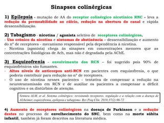 Sinapses colinérgicas
1) Epilepsia - mutação de AA do receptor colinérgico nicotínico RNC - leva a
redução da permeabilidade ao cálcio, redução na abertura do canal e rápida
dessensibilização.
2) Tabagismo - nicotina / agonista seletivo de receptores colinérgicos.
- Uso crônico da nicotina e sintomas de abstinência – dessensibilização e aumento
do nº de receptores - mecanismo responsável pela dependência à nicotina.
- Nicotina (agonista) chega às sinapses em concentrações menores que as
concentrações fisiológicas de Ach, mas não é degradada pela AChE.
3) Esquizofrenia - envolvimento dos RCN – foi sugerido pois 90% de
esquizofrênicos são fumantes.
- Altos níveis de anticorpos anti-RCN em pacientes com esquizofrenia, o que
poderia contribuir para redução no nº de receptores.
- O uso de nicotina nesses pacientes - tentativa de compensar a redução na
neurotransmissão em RCN e de auxiliar os pacientes a compensar o déficit
cognitivo e os distúrbios de atenção.
Ventura ALM, et al. Sistema colinérgico: revisitando receptores, regulação e a relação com a doença de
Alzheimer, esquizofrenia, epilepsia e tabagismo. Rev Psiq Clín. 2010;37(2):66-72
4) Aumento de receptores colinérgicos na doença de Parkinson e a redução
destes no processo de envelhecimento do SNC, bem como na morte súbita
infantil, também já foram descritos na literatura médica.
 