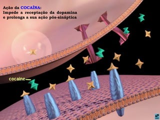 Ação da COCAÍNA:
Impede a receptação da dopamina
e prolonga a sua ação pós-sináptica
 