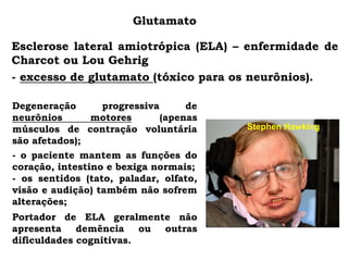 Esclerose lateral amiotrópica (ELA) – enfermidade de
Charcot ou Lou Gehrig
- excesso de glutamato (tóxico para os neurônios).
Glutamato
Stephen Hawking
Degeneração progressiva de
neurônios motores (apenas
músculos de contração voluntária
são afetados);
- o paciente mantem as funções do
coração, intestino e bexiga normais;
- os sentidos (tato, paladar, olfato,
visão e audição) também não sofrem
alterações;
Portador de ELA geralmente não
apresenta demência ou outras
dificuldades cognitivas.
 
