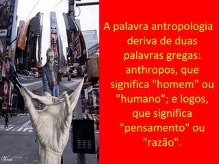 Aula 4-sociologia-aula-4-antropologia | PPT