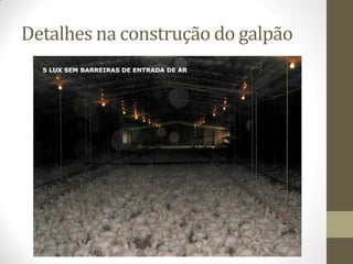 Detalhes na construção do galpão
 