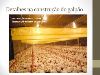 Detalhes na construção do galpão
 