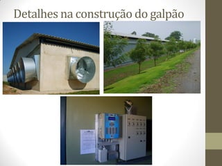 Detalhes na construção do galpão
 