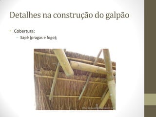 Detalhes na construção do galpão
• Cobertura:
– Sapê (pragas e fogo);
 