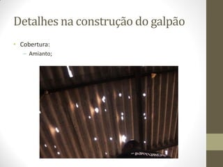 Detalhes na construção do galpão
• Cobertura:
– Amianto;
 