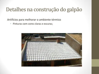 Detalhes na construção do galpão
Artifícios para melhorar o ambiente térmico
• Pinturas com cores claras e escuras;
 