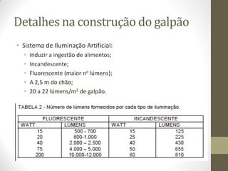 Detalhes na construção do galpão
• Sistema de Iluminação Artificial:
• Induzir a ingestão de alimentos;
• Incandescente;
• Fluorescente (maior no lúmens);
• A 2,5 m do chão;
• 20 a 22 lúmens/m2 de galpão.
 
