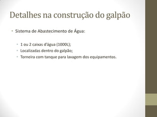 Detalhes na construção do galpão
• Sistema de Abastecimento de Água:
• 1 ou 2 caixas d’água (1000L);
• Localizadas dentro do galpão;
• Torneira com tanque para lavagem dos equipamentos.
 