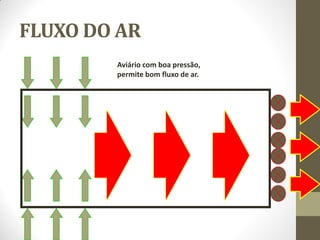 FLUXO DO AR
Aviário com boa pressão,
permite bom fluxo de ar.
 