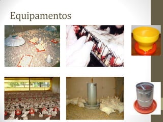 Equipamentos
 