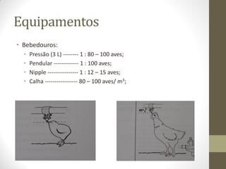 Equipamentos
• Bebedouros:
• Pressão (3 L) -------- 1 : 80 – 100 aves;
• Pendular ------------- 1 : 100 aves;
• Nipple ---------------- 1 : 12 – 15 aves;
• Calha ----------------- 80 – 100 aves/ m3;
 