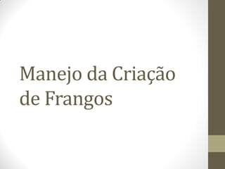 Manejo da Criação
de Frangos
 