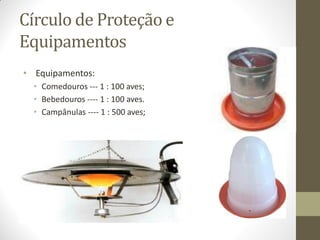 Círculo de Proteção e
Equipamentos
• Equipamentos:
• Comedouros --- 1 : 100 aves;
• Bebedouros ---- 1 : 100 aves.
• Campânulas ---- 1 : 500 aves;
 