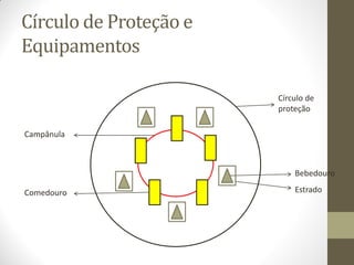 Círculo de Proteção e
Equipamentos
Círculo de
proteção
Bebedouro
Estrado
Comedouro
Campânula
 