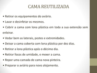 CAMA REUTILIZADA
• Retirar os equipamentos do aviário.
• Lavar e desinfetar os mesmos.
• Cobrir a cama com lona plástica em toda a sua extensão sem
enleirar.
• Vedar bem as laterais, postes e extremidades.
• Deixar a cama coberta com lona plástica por dez dias.
• Retirar a lona plástica após o décimo dia.
• Retirar focos de umidade, e mexer a cama.
• Repor uma camada de cama nova pinteira.
• Preparar o aviário para novo alojamento.
 