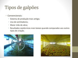 Tipos de galpões
• Convencionais:
• Sistema de produção mais antigo;
• Uso de ventiladores;
• Maior mão de obra;
• Resultados zootécnicos mais baixos quando comparados aos outros
tipos de criação.
 